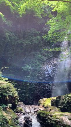 【レポ】檜原村 九頭龍神社リトリートの記事動画