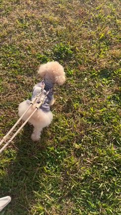 ［潜在意識］婚活・妊活にも直結する“自己価値感”の重要性の記事動画