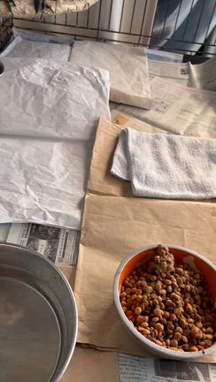 ヒゲオ、キャンディ、おやすみなさい　ありがとうの記事動画