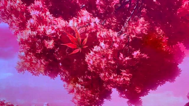 ★秋らしい★の記事動画