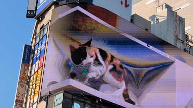 #にゃんこが私にしてくることの記事動画