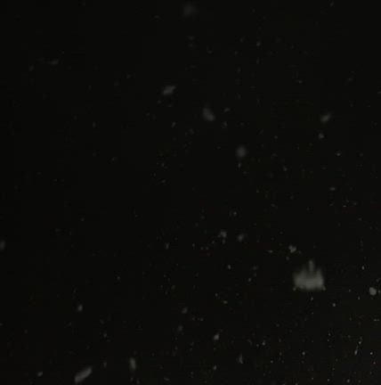 3月の雪！ #池袋店の記事動画