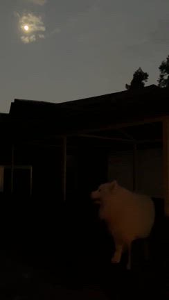 土日営業の記事動画