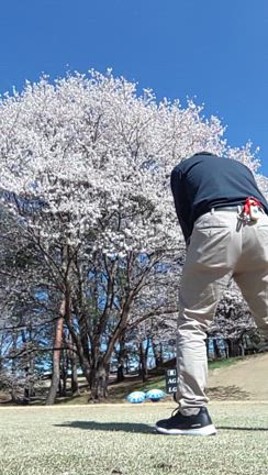 西東　祈りの果ての記事動画