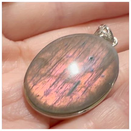 【完売】アーツで育った子たち！６個限定販売！の記事動画