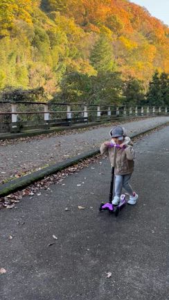 １２月だというのに暖かくて。の記事動画