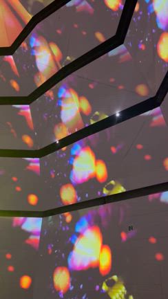 圧倒的な世界観♡蜷川実花展に行ってきました♪の記事動画