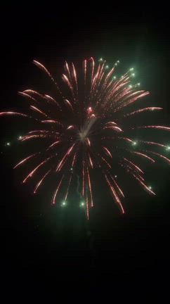 とちぎ野音vol.2の記事動画