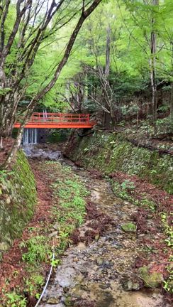 京都　大原　三千院への記事動画