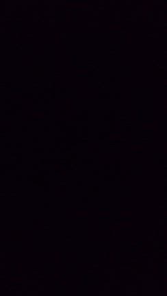 今日はの記事動画