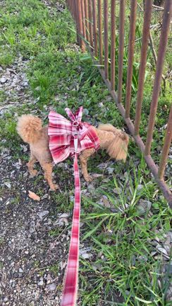 今週もあっと言う間にの記事動画