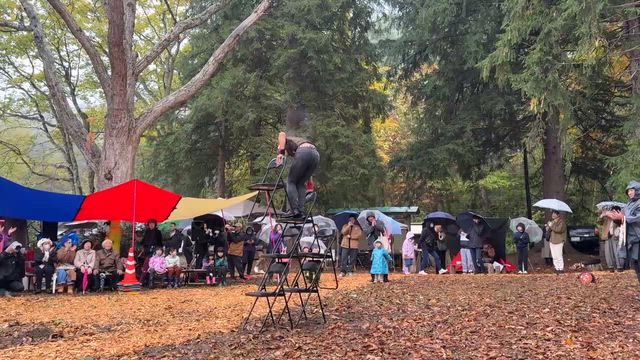 森のセクシーゾーン。の記事動画