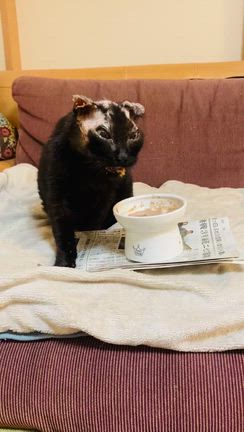 8年目のアバちゃんの記事動画