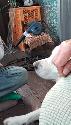 皆で一緒に行こうね！の記事動画