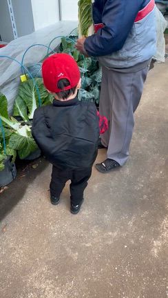 危なかった〜動画ですの記事動画