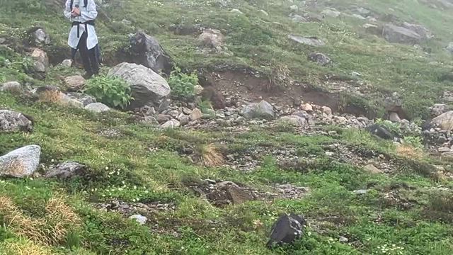 立山（花と雷鳥）の記事動画