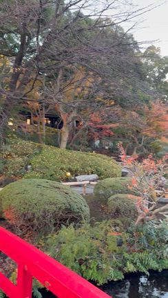 大人の遠足③の記事動画