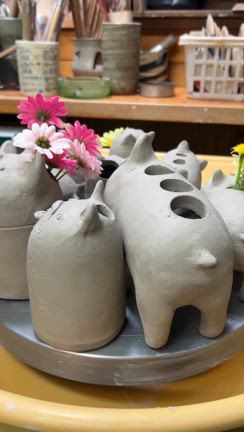 犬と猫の記事動画