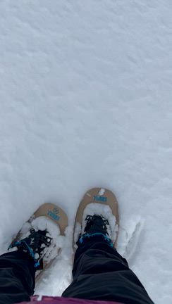 往復１時間、小さな自信を感じた日の記事動画