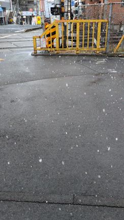 最後の雪かしら?の記事動画