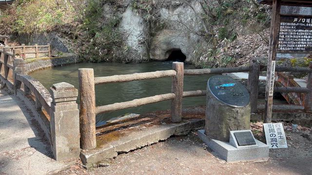 No.810 会津若松パワーウォークの記事動画