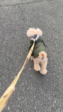 ⭐️12月撮影セット⭐️の記事動画