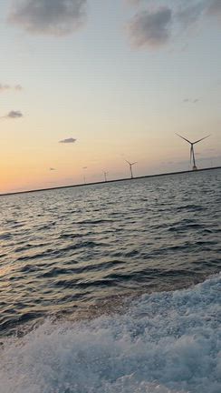 3１日チャーターの記事動画