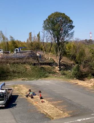 2025/3/22『あわや死亡事故❗️大木伐採動画』の記事動画