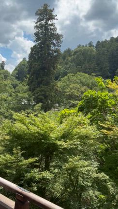お客様おススメスポットの記事動画
