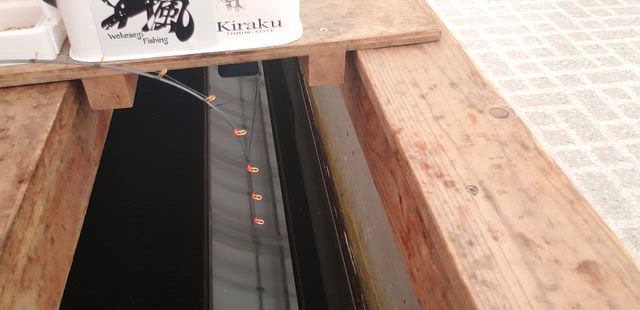 疾風2027モデル「疾風 X」正式発表!!の記事動画