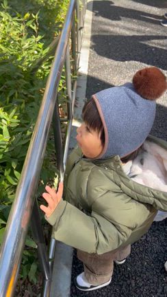 極寒の上野動物園の記事動画