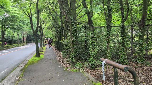 第３回奥武蔵ロングトレイルレース感動ありがとう①の記事動画