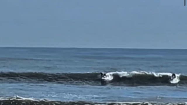 FLAX TORO2、3名のテストクリップ、信頼のdeadkooksの記事動画