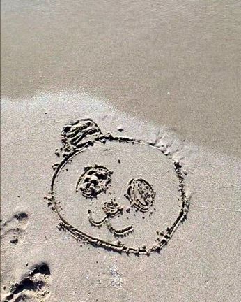 【京丹後旅行記1日目】観光特急「丹後の海」で行く丹後半島｜夕日ヶ浦なのに夕日を見逃した夜の記事動画