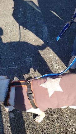 07年11月22日①　俺の相棒の記事動画