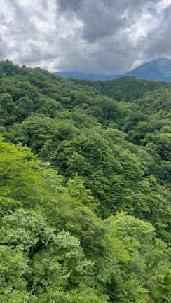 【栃木 ロミロミリトリートツアー】のご案内の記事動画