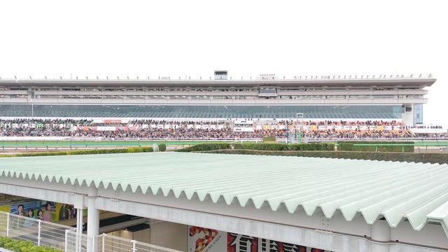 中山競馬場に行ってみた。ロイヤルファミリー展。来週は有馬記念。の記事動画
