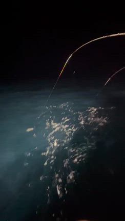 イカ便近況報告の記事動画