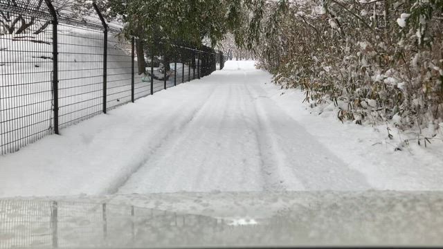 お昼はケンタッキーの記事動画