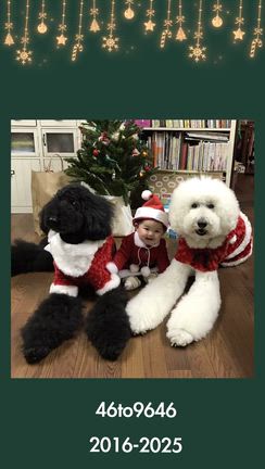 クリスマスイヴの記事動画