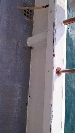 4㈫　湾内サビキ&バチコンの記事動画