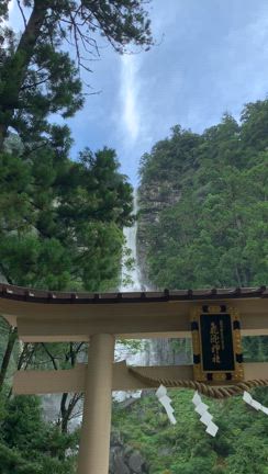 那智のお瀧と昇龍の記事動画