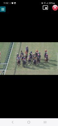 出資馬結果 2024.12.21の記事動画