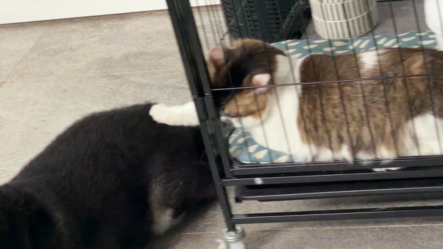 タツの母 タツの母さんのプロフィールページ