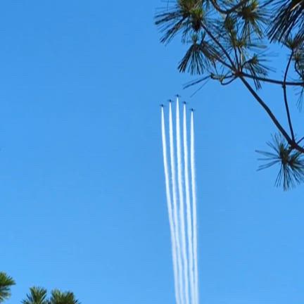 大阪万博の記事動画