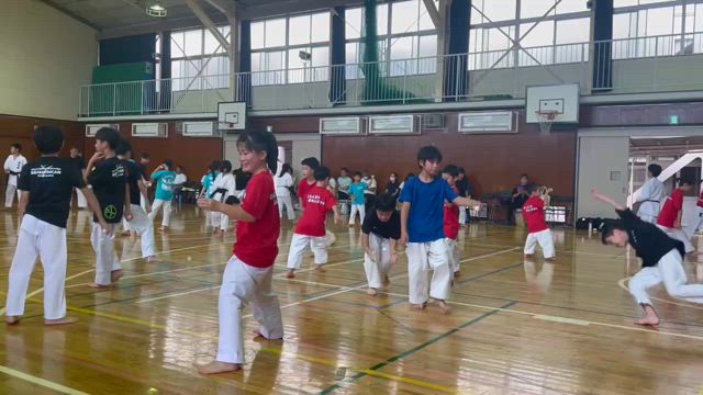 押忍‼️の記事動画