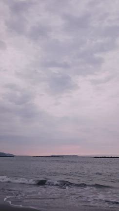 ありがとうございました！2025「秋のねこ祭り」美馬市脇町　ねこのシータさん　セルフレポ♪の記事動画