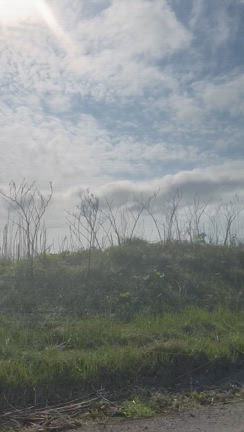 今年のゴールデンウィークはゆったり過ごしていましたの記事動画