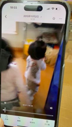 爆笑動画…姉妹で、おにぎり争奪戦！。の記事動画