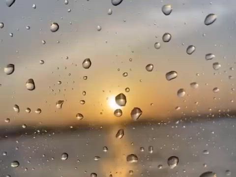 念願の小豆島へ！の記事動画